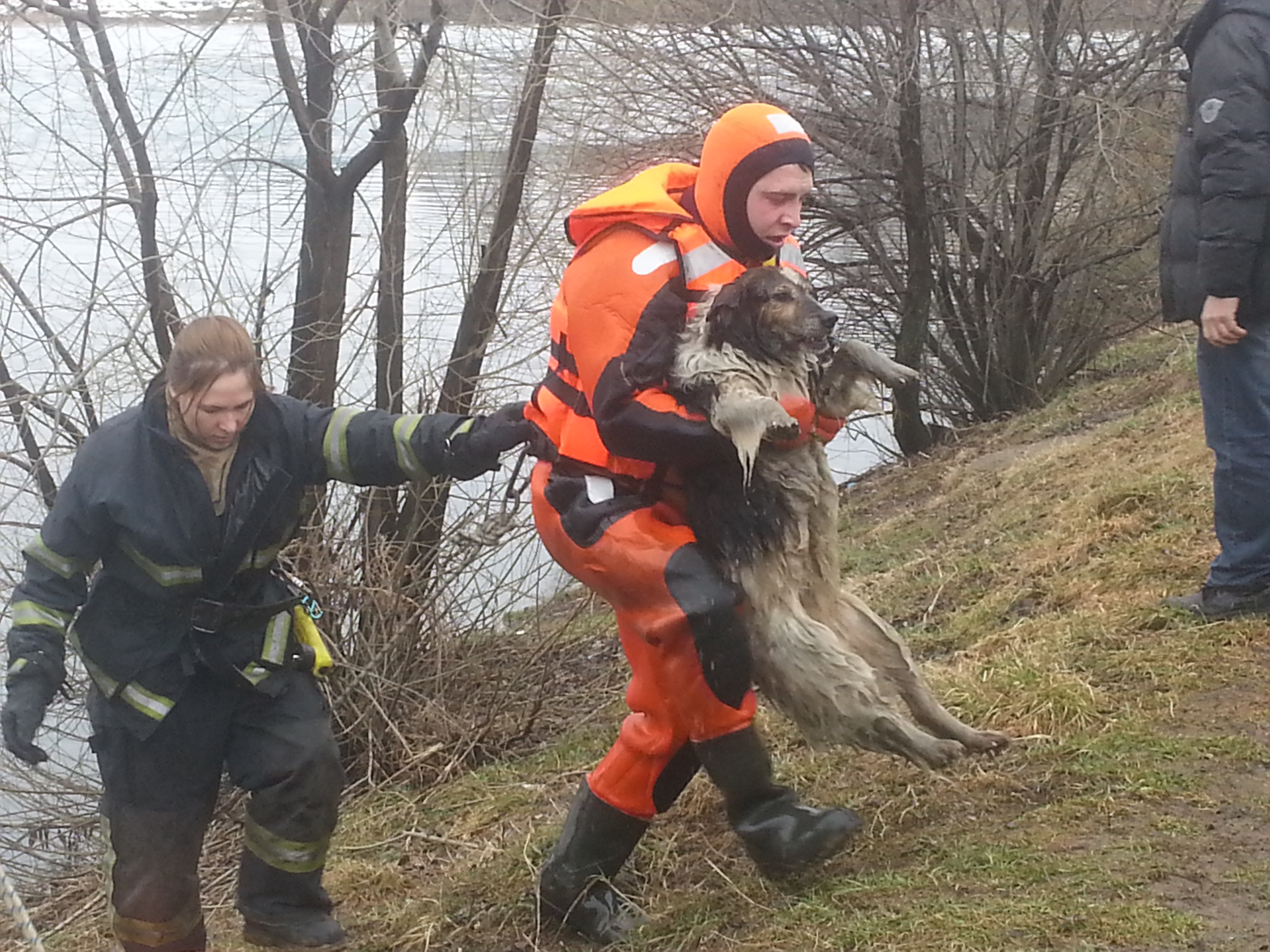 МЧС спасает собаку провалившуюся под лед