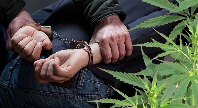 Более 700 граммов наркосодержащих растений изъяли полицейские в Одинцовском г.о.